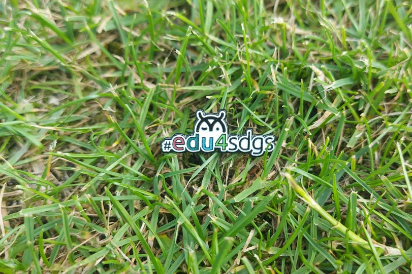 edu4sdgs project pin on the grass